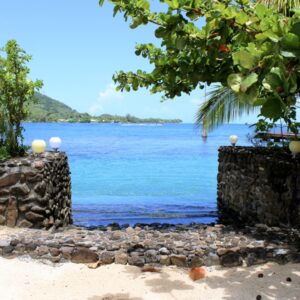 IMG_0234_1771970556944edit