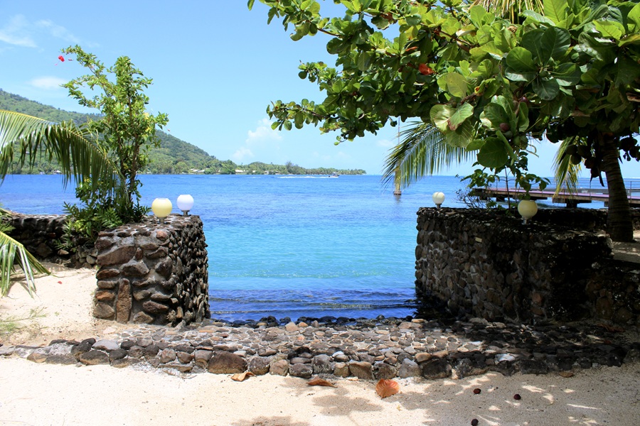 IMG_0234_1771970556944edit IMG_0234_1771970556944edit