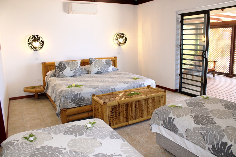 IMG_0245_1771970708218edit IMG_0245_1771970708218edit