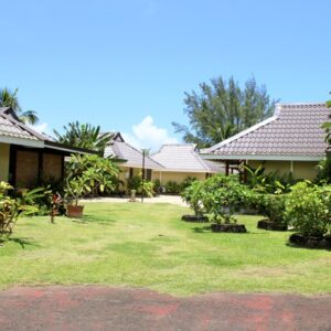 IMG_0286_1771971104191edit