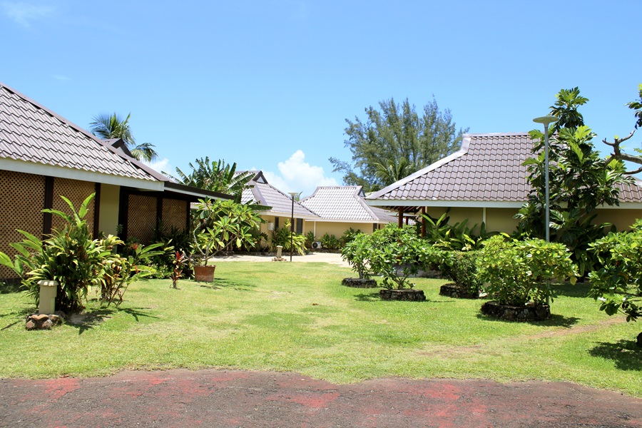 IMG_0286_1771971104191edit IMG_0286_1771971104191edit