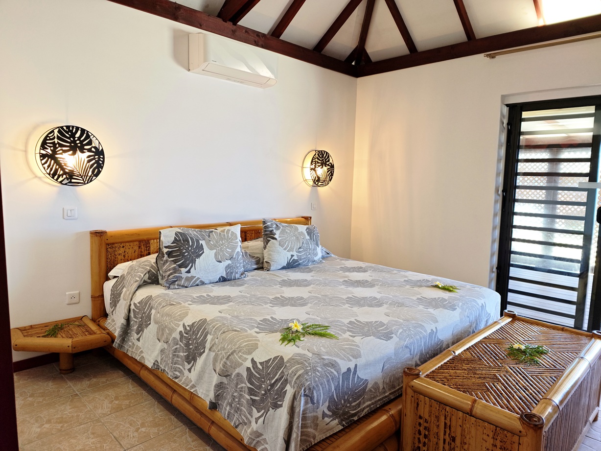 IMG_20260214_113839_1771122284618edit IMG_20260214_113839_1771122284618edit